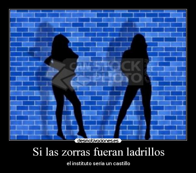 carteles castillo zorras desmotivaciones