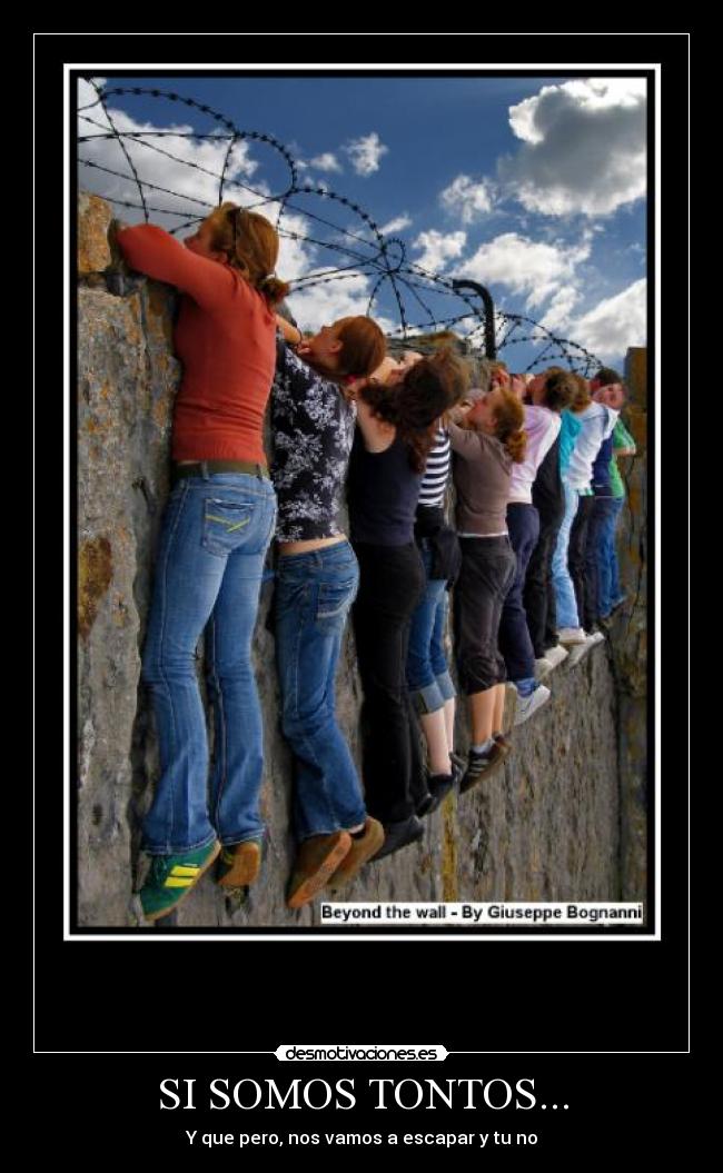 SI SOMOS TONTOS... - Y que pero, nos vamos a escapar y tu no