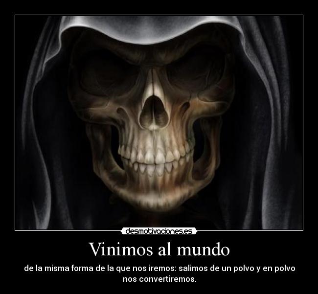 Vinimos al mundo - 