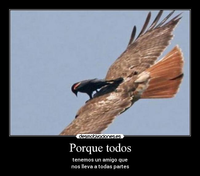 carteles ljbkjv desmotivaciones