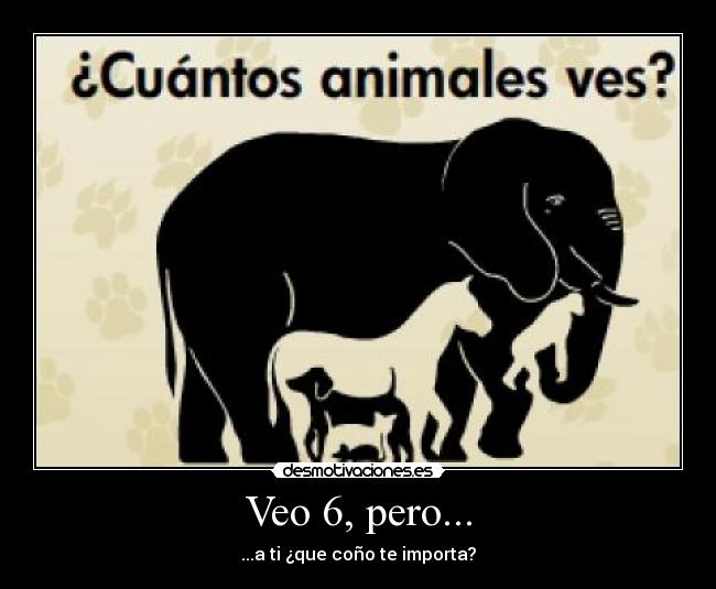 Veo 6, pero... -