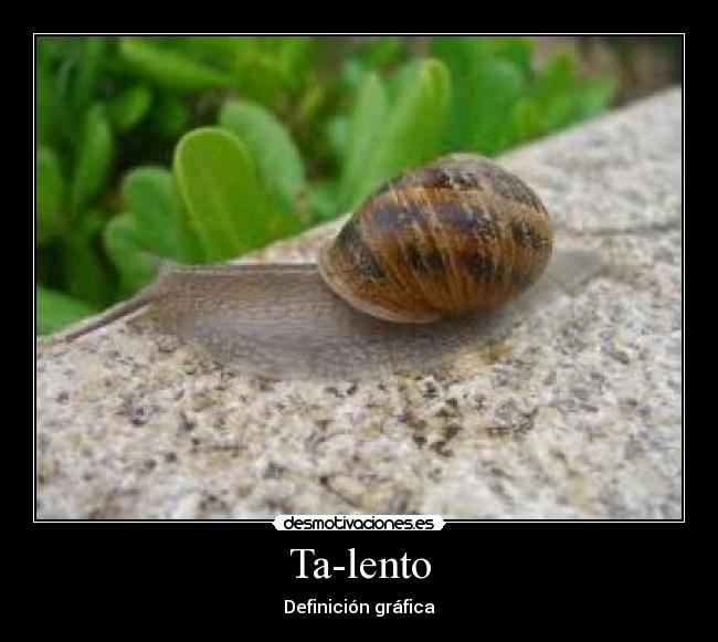 Ta-lento -