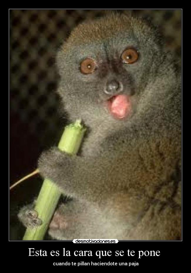 Esta es la cara que se te pone -