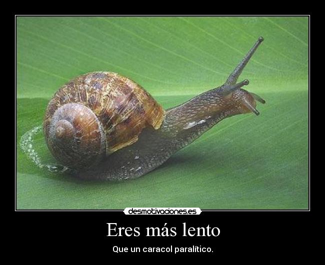 Eres más lento -