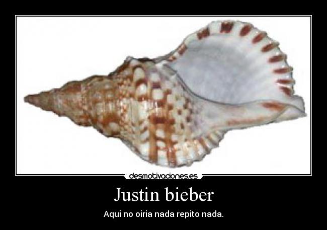 Justin bieber - Aqui no oiria nada repito nada.