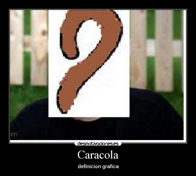Caracola - definicion grafica
