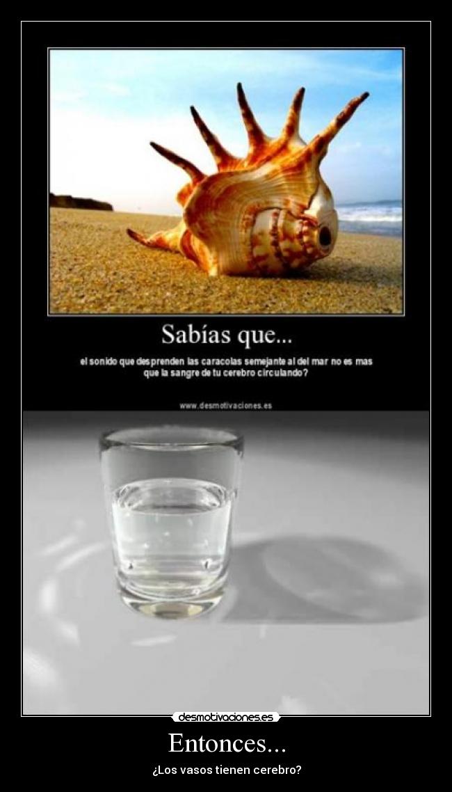 Entonces... - ¿Los vasos tienen cerebro?