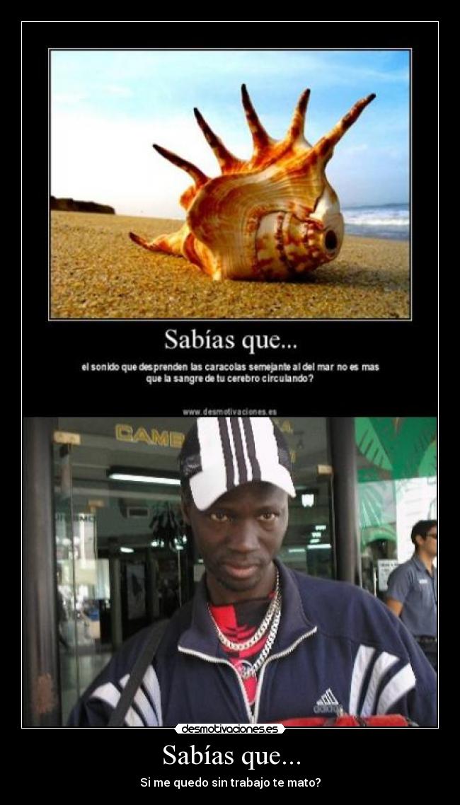 Sabías que... - Si me quedo sin trabajo te mato?