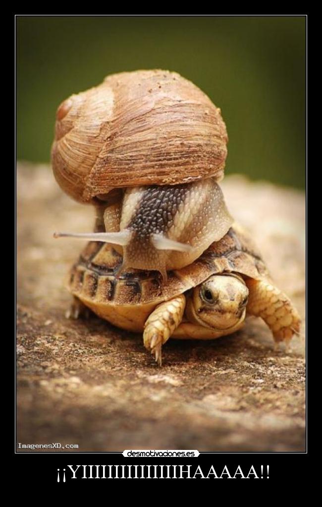 ¡¡YIIIIIIIIIIIIIIIHAAAAA!! -