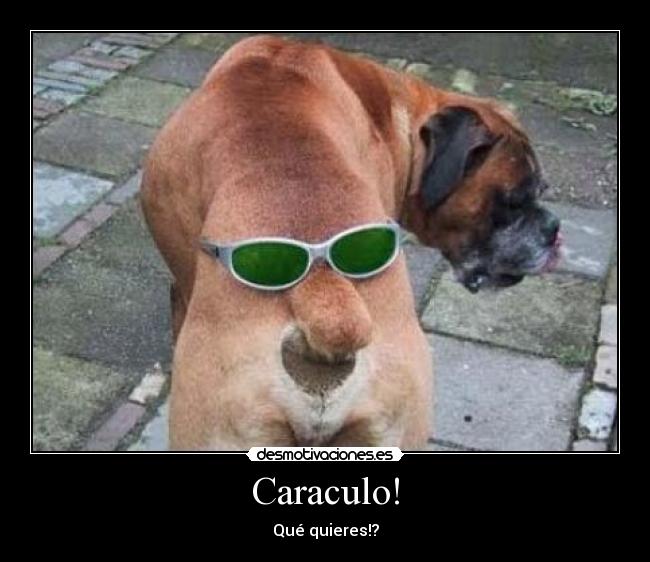 Caraculo! -