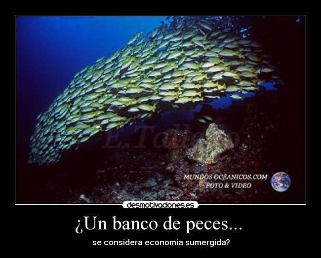 ¿Un banco de peces... -