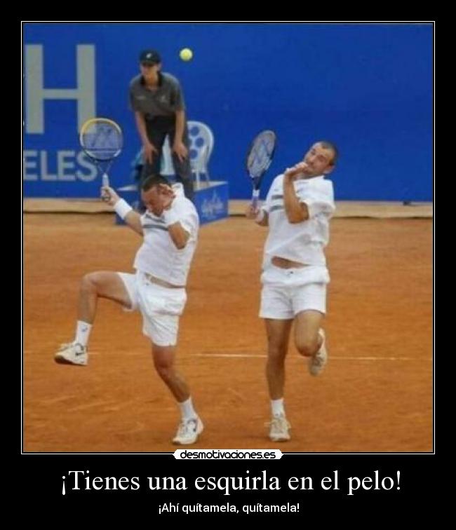 ¡Tienes una esquirla en el pelo! - ¡Ahí quítamela, quítamela!