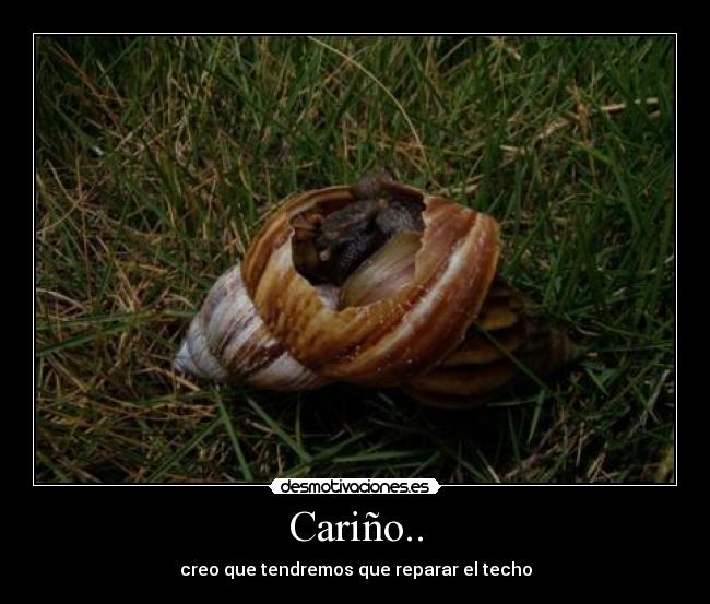 carteles roby caracol desmotivaciones