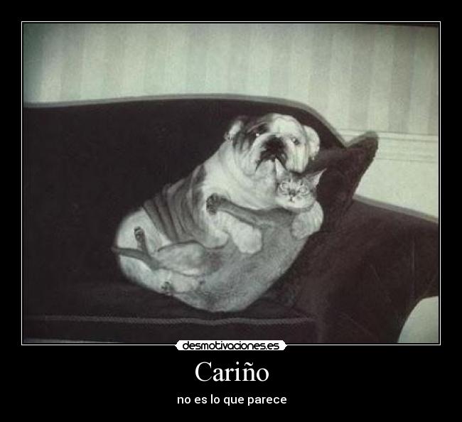 Cariño - no es lo que parece