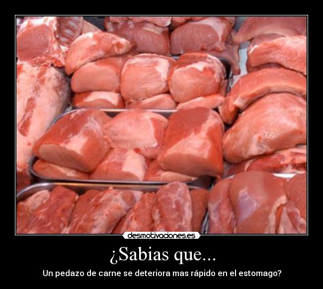 ¿Sabias que... -