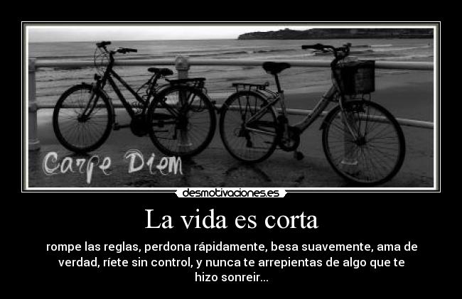 La vida es corta - 