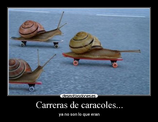 Carreras de caracoles... - ya no son lo que eran