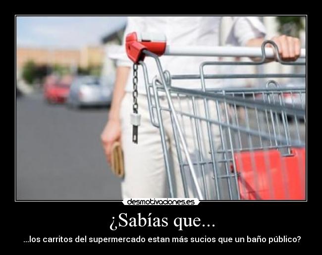 ¿Sabías que... - ...los carritos del supermercado estan más sucios que un baño público?
