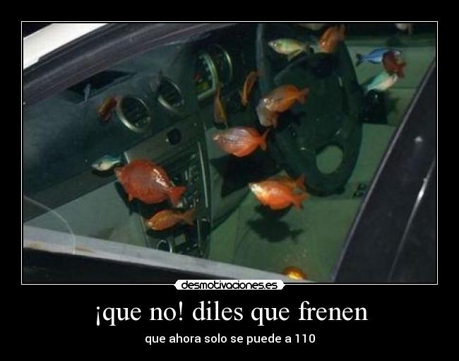 ¡que no! diles que frenen - 