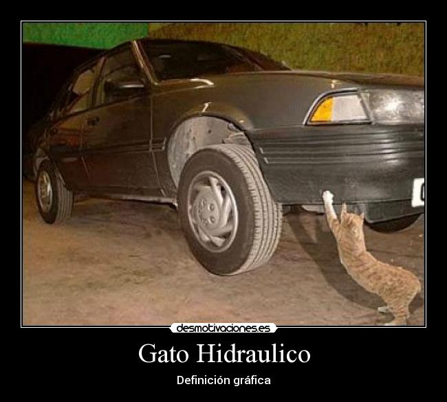Gato Hidraulico - Definición gráfica