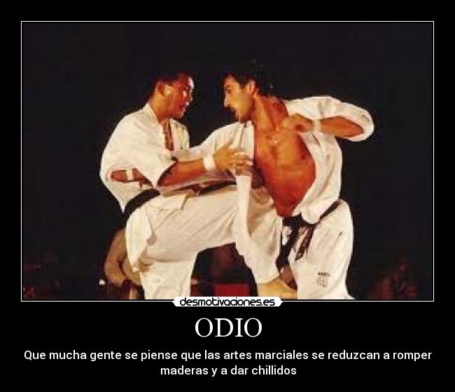 ODIO - Que mucha gente se piense que las artes marciales se reduzcan a romper
maderas y a dar chillidos