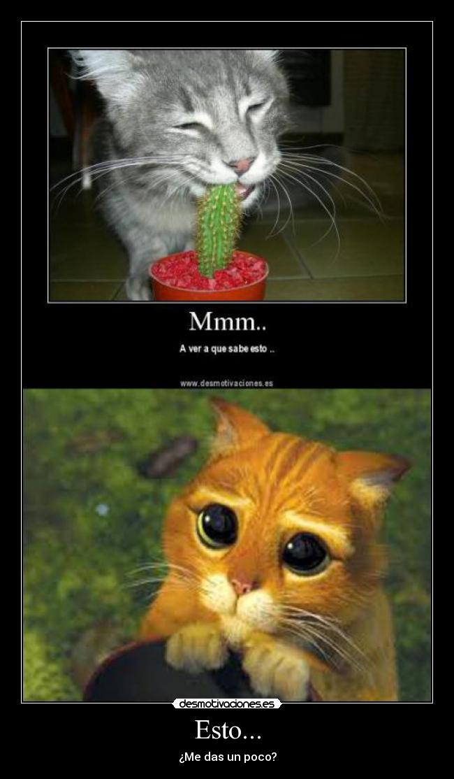 Esto... - 
