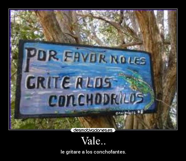 Vale.. - le gritare a los conchofantes.