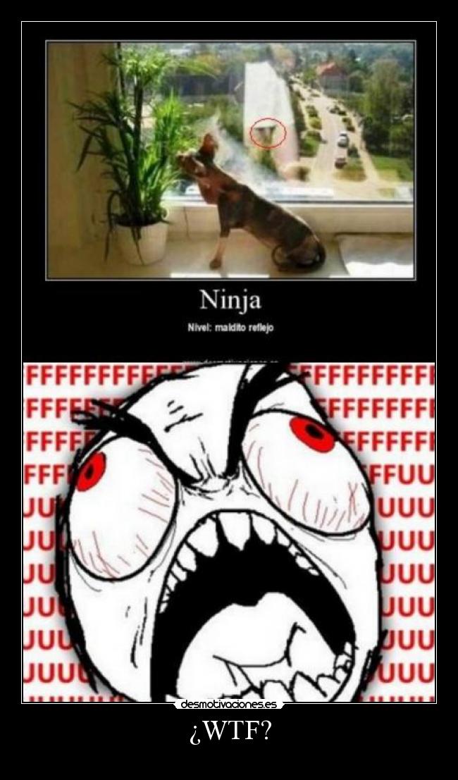¿WTF? -