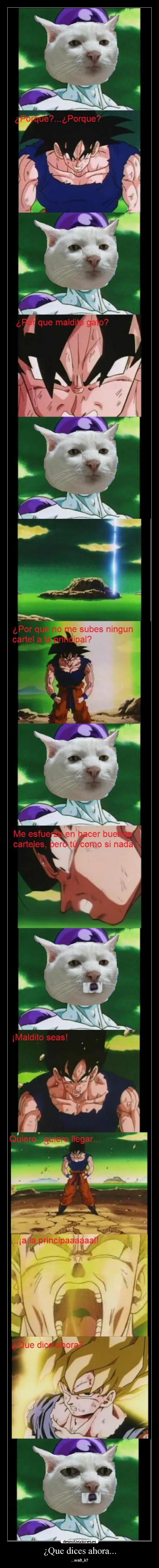 ¿Que dices ahora... - 