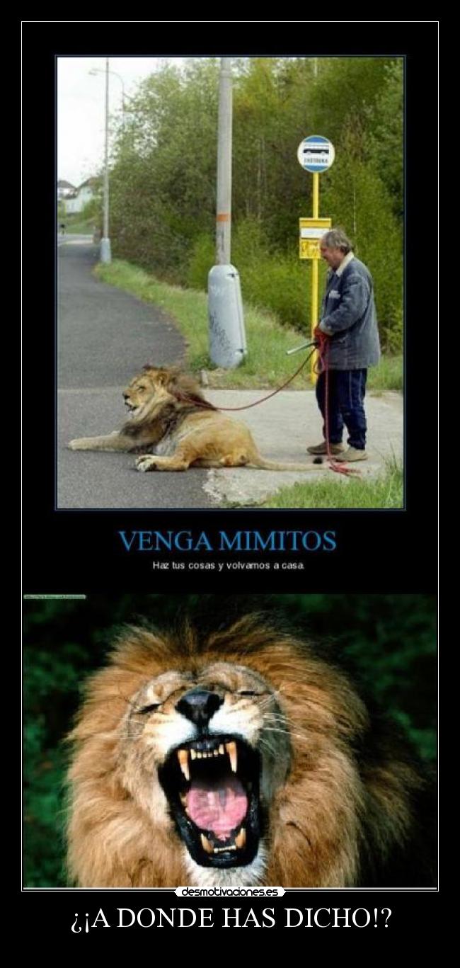 ¿¡A DONDE HAS DICHO!? -