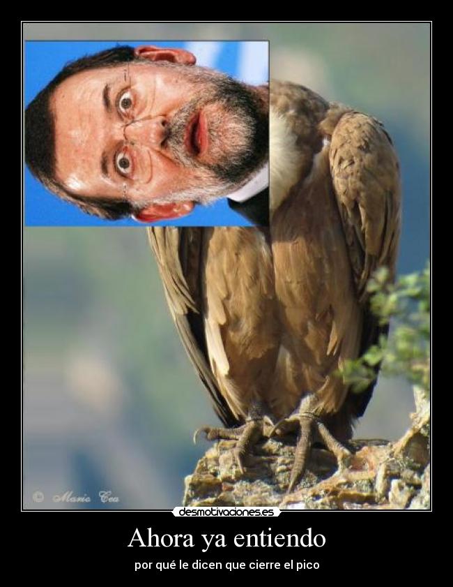 Ahora ya entiendo - por qué le dicen que cierre el pico