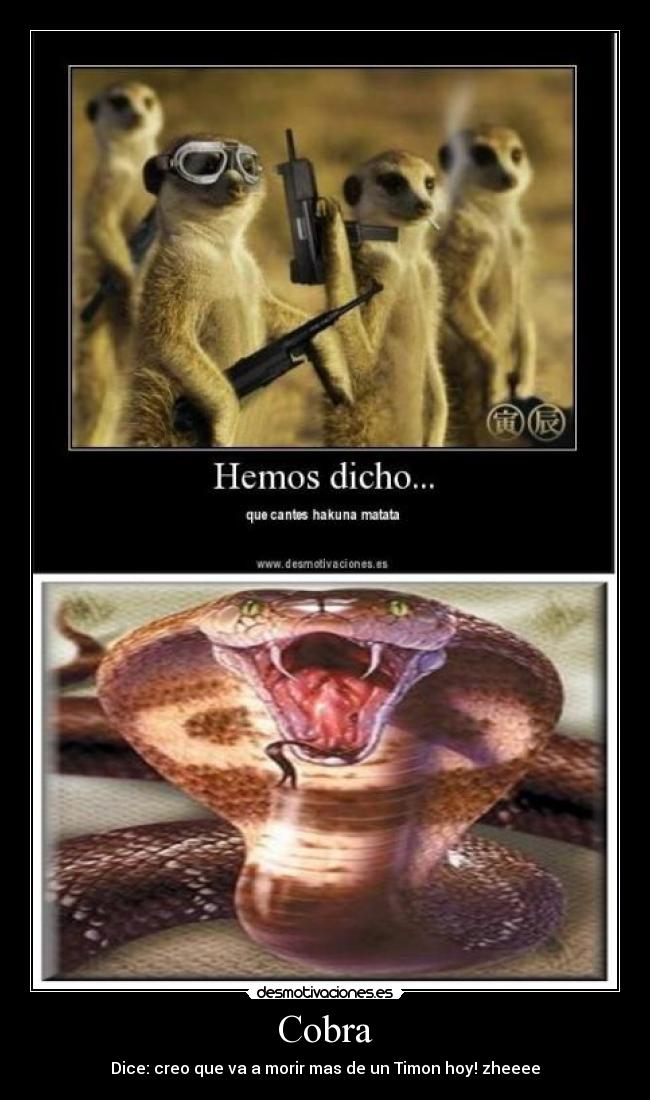 Cobra - Dice: creo que va a morir mas de un Timon hoy! zheeee