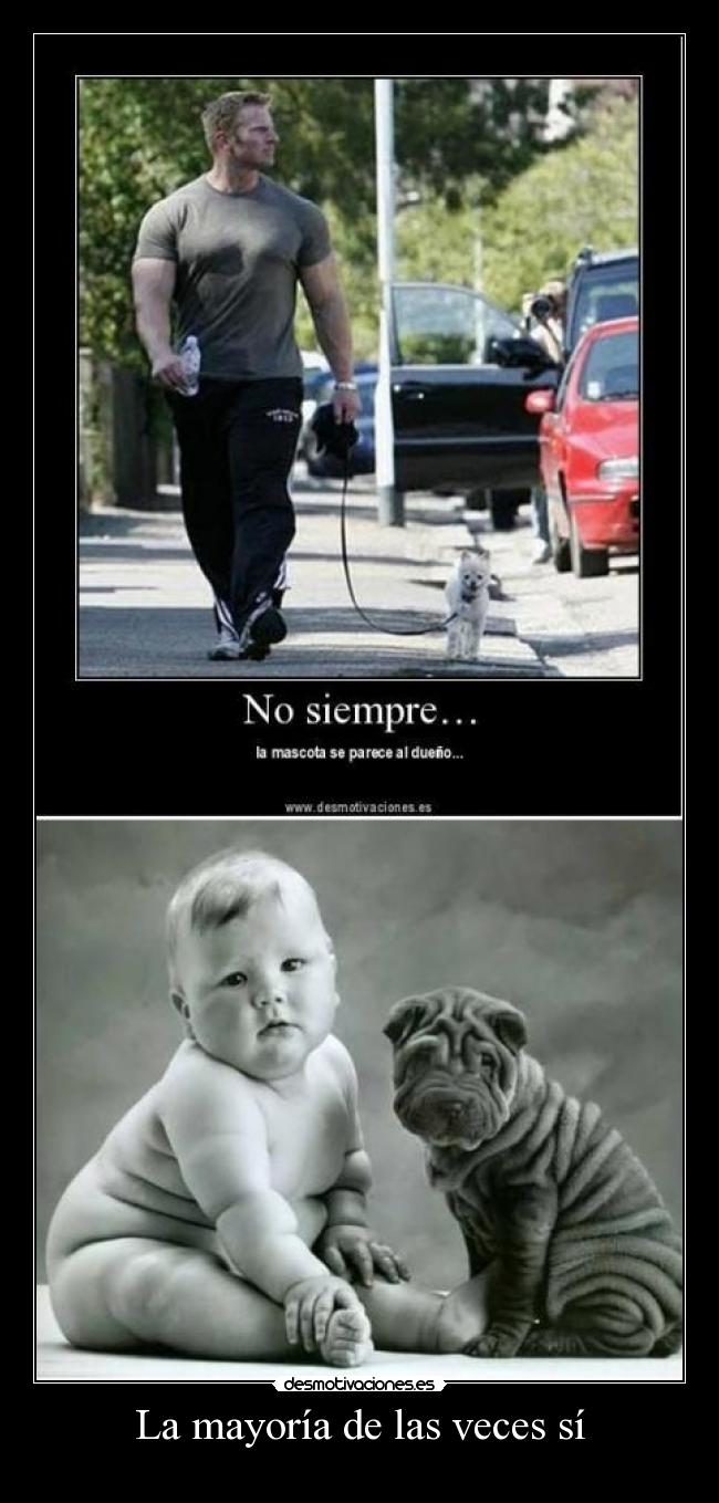 La mayoría de las veces sí - 