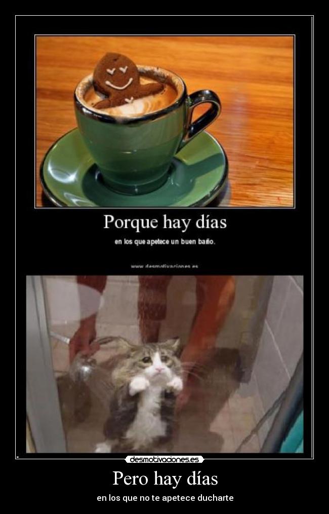 Pero hay días - en los que no te apetece ducharte