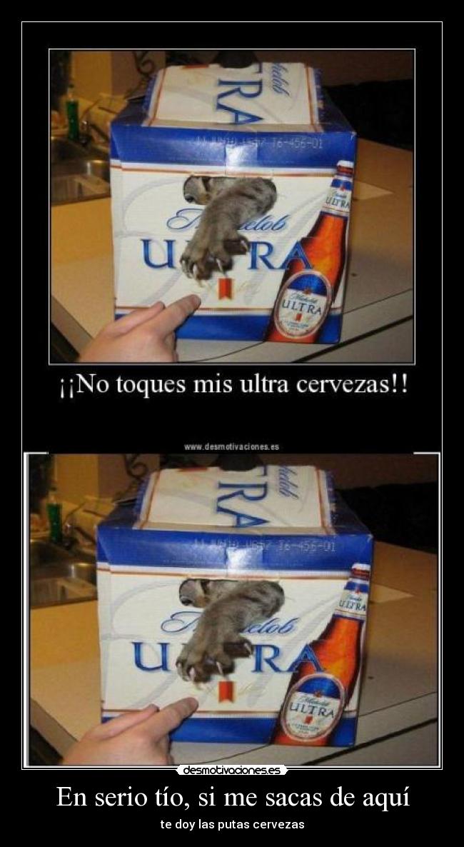 En serio tío, si me sacas de aquí - te doy las putas cervezas