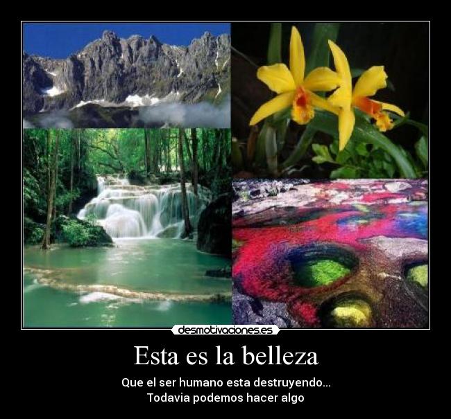 Esta es la belleza -