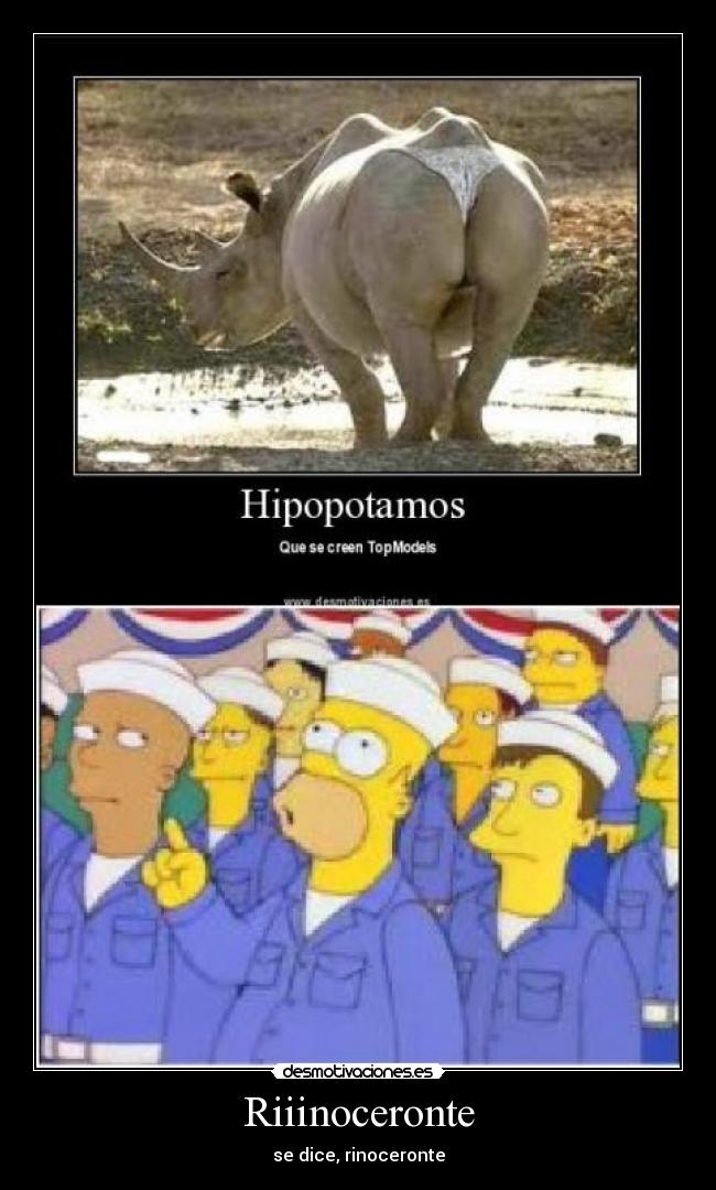 Riiinoceronte - se dice, rinoceronte