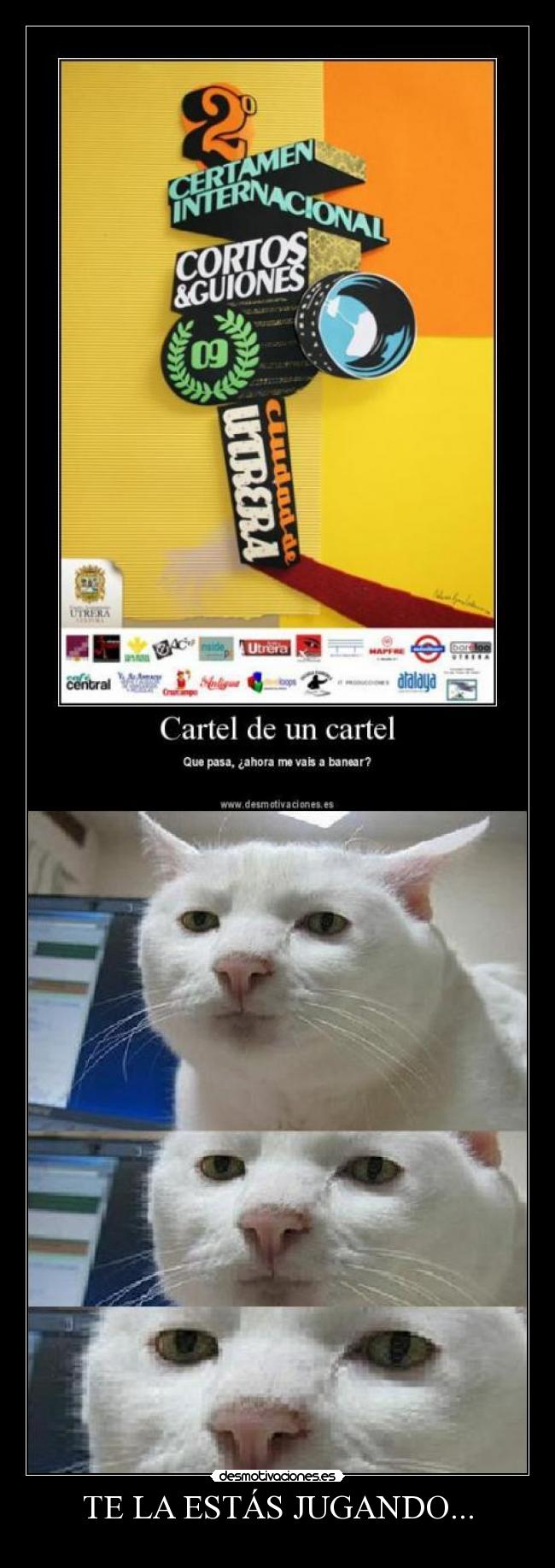 TE LA ESTÁS JUGANDO... -