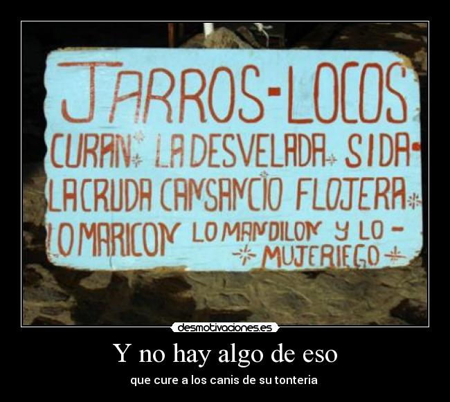 Y no hay algo de eso - que cure a los canis de su tonteria