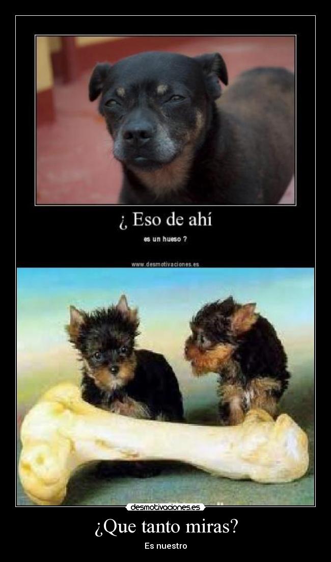 ¿Que tanto miras? -