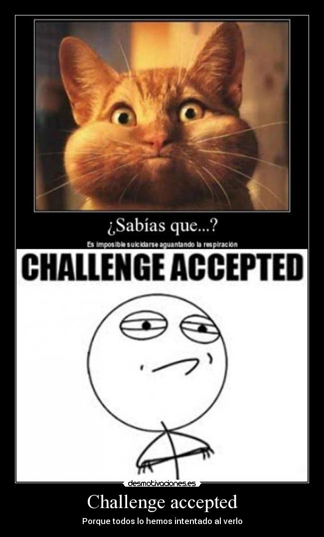 Challenge accepted - Porque todos lo hemos intentado al verlo