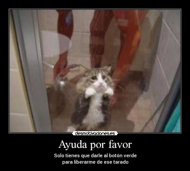 Ayuda por favor -