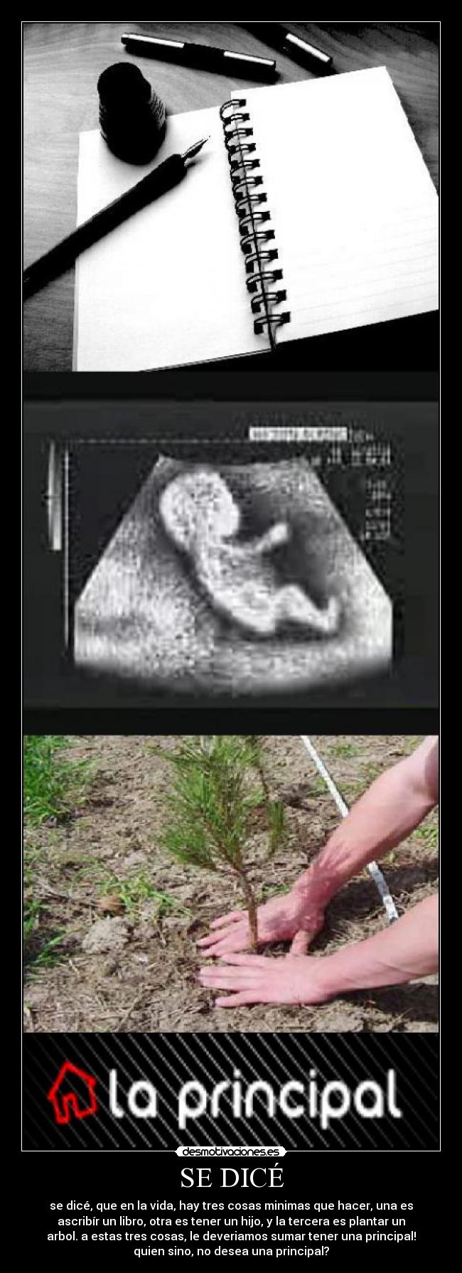 SE DICÉ - se dicé, que en la vida, hay tres cosas minimas que hacer, una es
ascribír un libro, otra es tener un hijo, y la tercera es plantar un
arbol. a estas tres cosas, le deveriamos sumar tener una principal!
quien sino, no desea una principal?