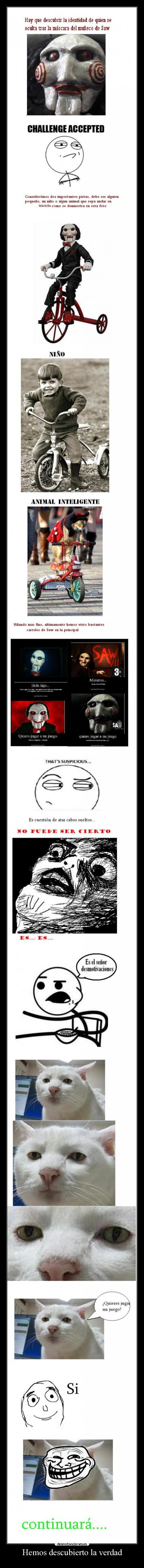 Hemos descubierto la verdad -