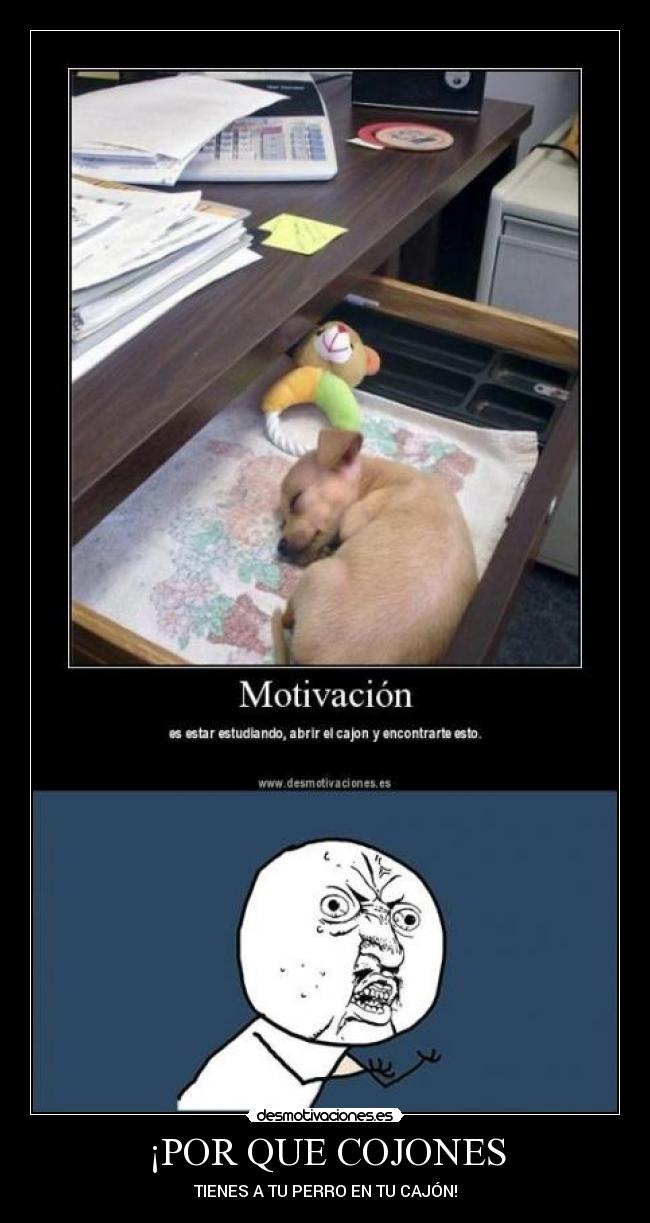 ¡POR QUE COJONES -