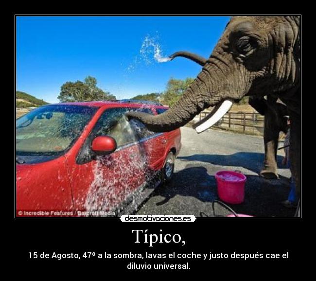 Típico, - 15 de Agosto, 47º a la sombra, lavas el coche y justo después cae el diluvio universal.