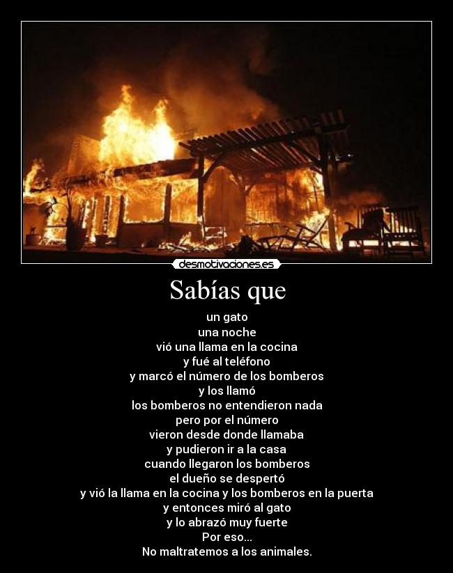 Sabías que - un gato
una noche
vió una llama en la cocina
y fué al teléfono
y marcó el número de los bomberos
y los llamó
los bomberos no entendieron nada
pero por el número
vieron desde donde llamaba
y pudieron ir a la casa
cuando llegaron los bomberos
el dueño se despertó
y vió la llama en la cocina y los bomberos en la puerta
y entonces miró al gato
y lo abrazó muy fuerte
Por eso...
No maltratemos a los animales.