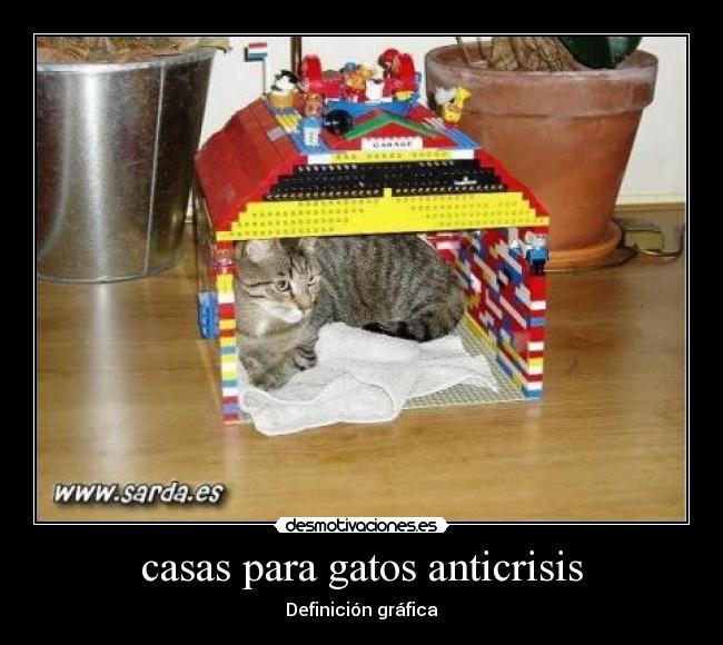 carteles gatos anitha desmotivaciones