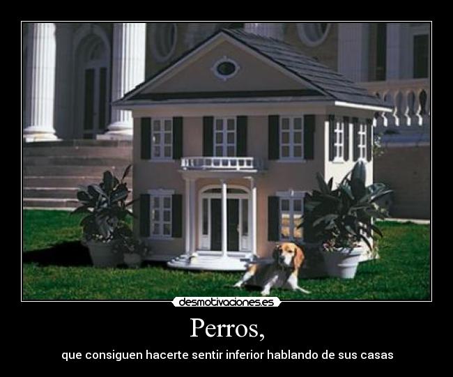 Perros, -