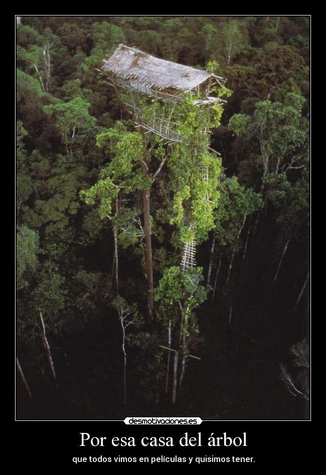 Por esa casa del árbol -